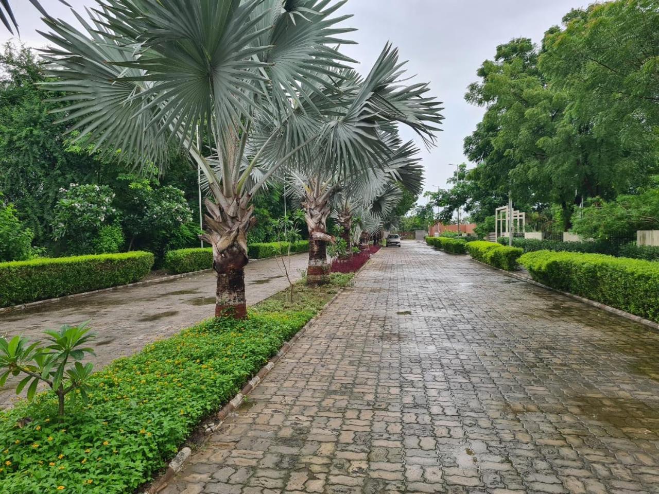 Club Azzurro Resort - Nalsarovar Nānodra Kültér fotó